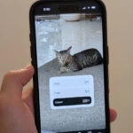 Desglose de encuestas en historias de Instagram, detalles de votantes y opción de «Compartir resultados» no disponible para muchos.